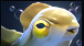 2月19日DOTA2客户端更新：7.38版本来临 全新玩法全新体验(图4)