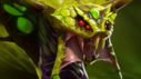 DOTA2客户端更新：7.32c平衡性更新(图14)