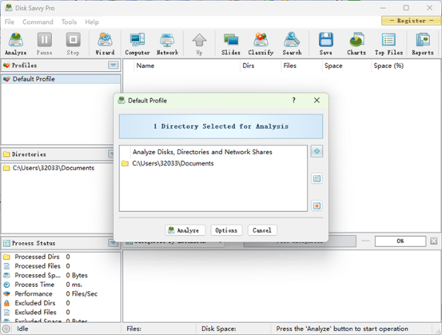 Disk Savvy Pro x64
